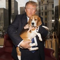 Фото 1 Жизнь семьи Трамп в фотографиях