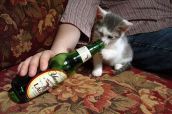 Пятница по-кошачьи 