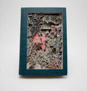 Книжная вырезка