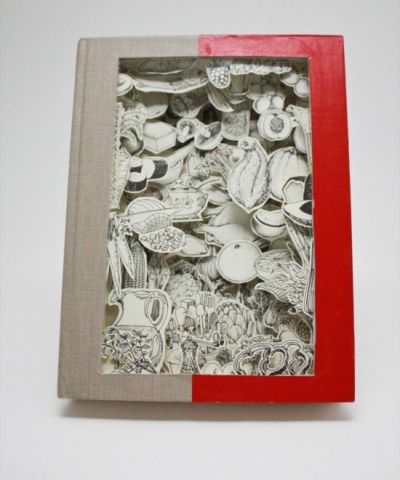 Книжная вырезка