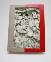 Книжная вырезка