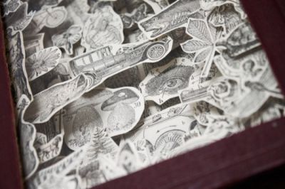 Книжная вырезка