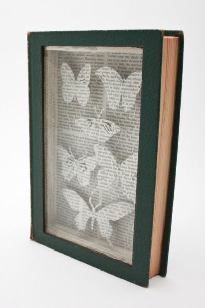 Книжная вырезка