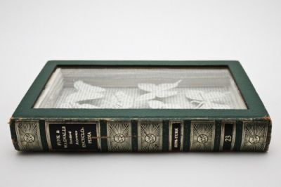 Книжная вырезка