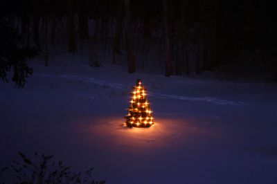 Елка