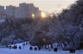 Фото 1 Москва обледенела