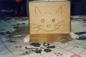 Смешные кошки прошедшей недели