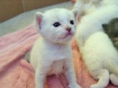Изобретали офисные игры