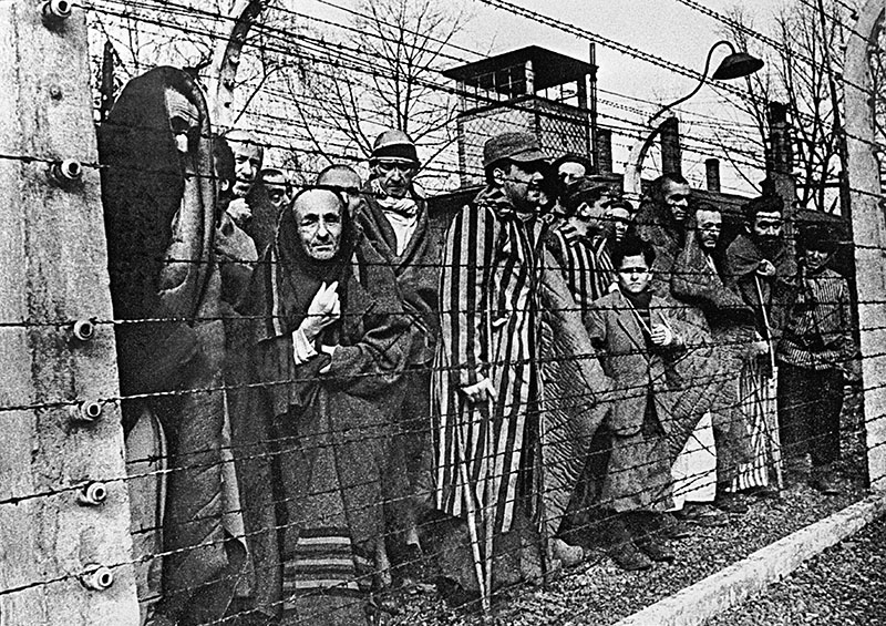 Фото 8 27 января - день освобождения Освенцима и День снятия Блокады Ленинграда