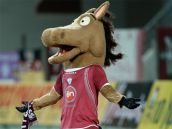 В. Евдокимов www.fc-zenit.ru